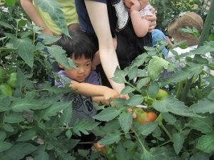 IMG_0290