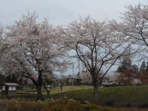 つどい4