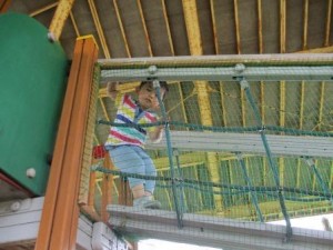 IMG_3211