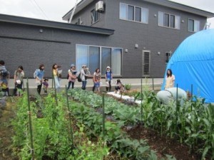 うさ野菜ゼロ
