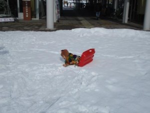 雪あそび2