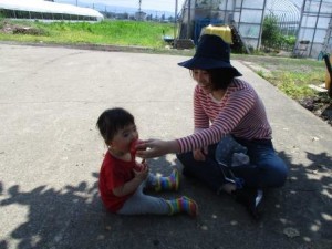 野菜8