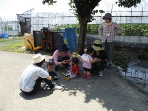 野菜日陰で味見10