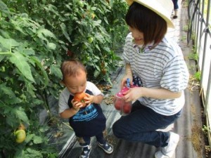 野菜6-3