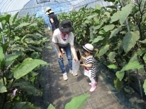 野菜5