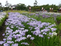 浅舞公園へ行こう！