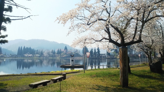 鶴ヶ池公園