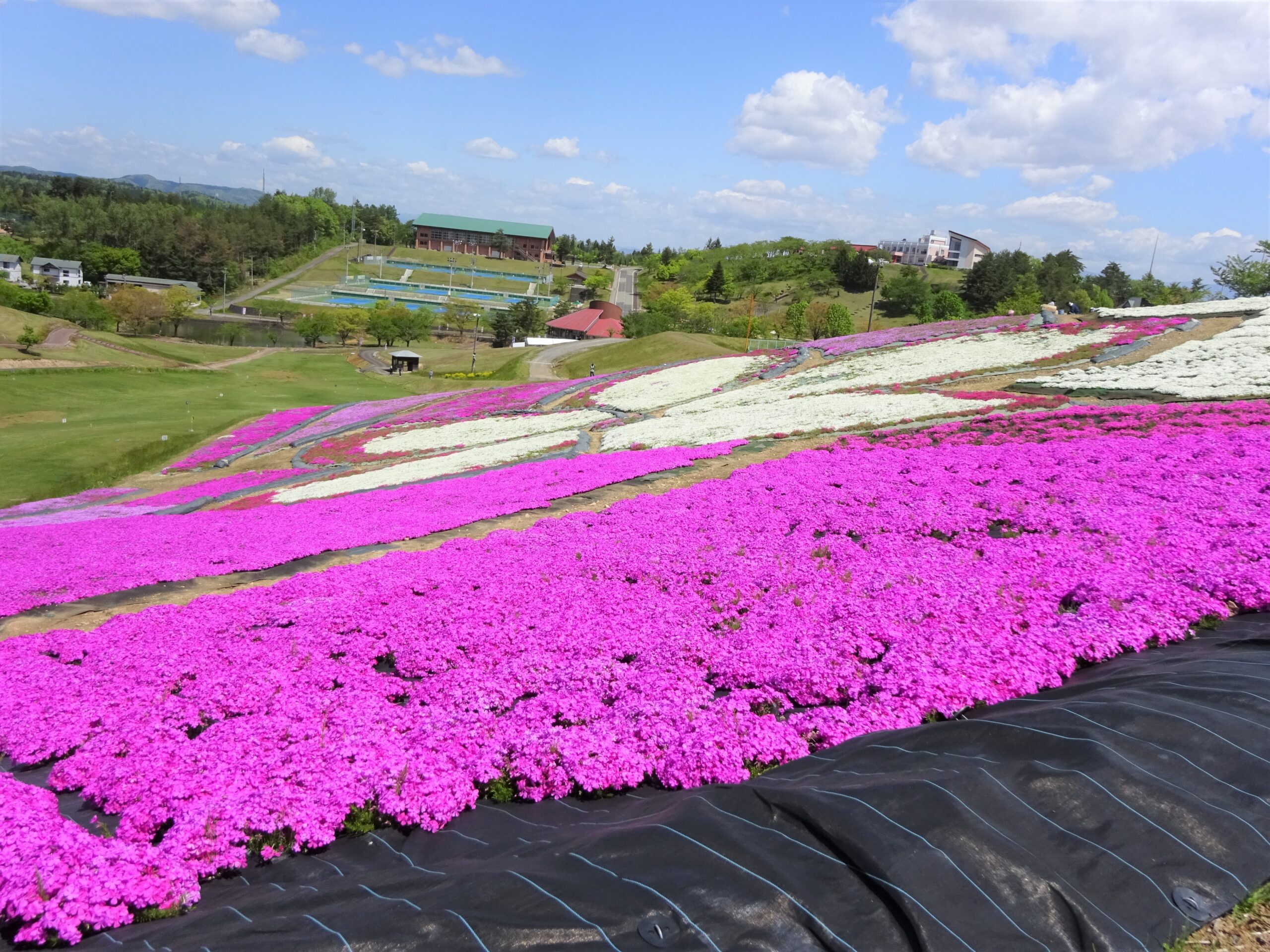 合同ひろば